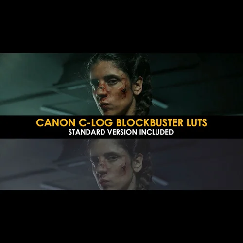 دانلود Canon C-Log Blockbuster And Standard Lut