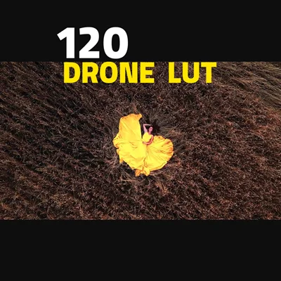 دانلود 120 پریست رنگ و LUT حرفه ای و سینمایی برای DRONE