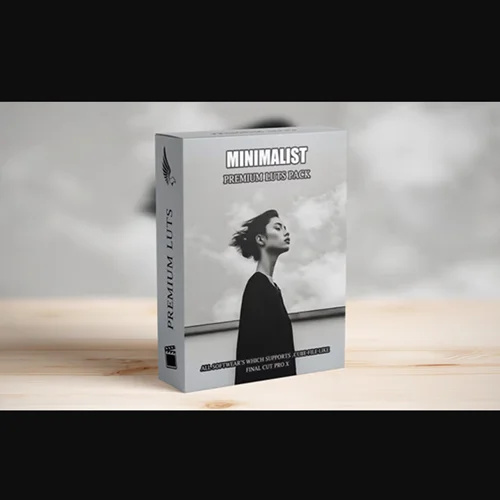 دانلود پریست رنگ Minimalist Indoor Cinematic Film Low Light LUTs Pack